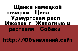 Щенки немецкой овчарки › Цена ­ 5 000 - Удмуртская респ., Ижевск г. Животные и растения » Собаки   